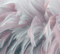 Фотообои Розовые перья AM006 - фото 4533