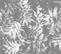 Фотообои Банановые листья AM008BW - фото 4548 Фотообои Банановые листья AM008BW - фото 4548