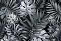 Фотообои Пальмовые листья серые на черном фоне AM024G - фото 4615