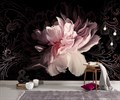 Фотообои Розовый пион на черном фоне AM082 - фото 4860