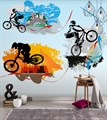 Фотообои Граффити с велосипедистами AM101 - фото 4979