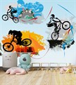 Фотообои Граффити с велосипедистами AM101 - фото 4980