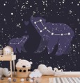 Фотообои Звезды в виде медведицы AM144 - фото 5471