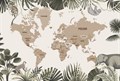Фотообои Бежевая карта мира AM150 - фото 5556