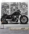 Фотообои Граффити мотоцикл AM162 - фото 5690