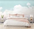 Фотообои Небо с белыми облаками AM197 - фото 6030